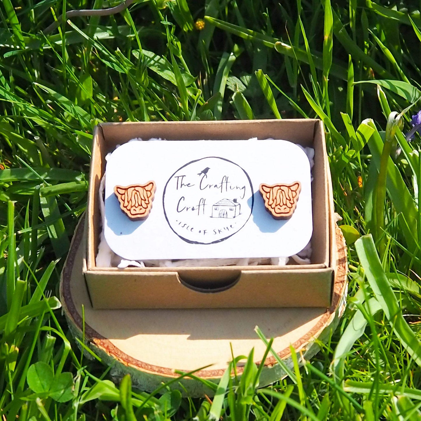 Highland Cow stud earrings made from cherry wood with surgical steel backs in eco-friendly gift box.